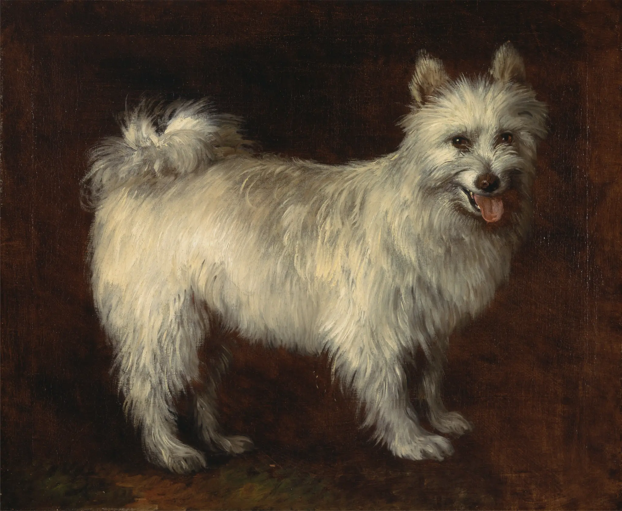 Spitz Dog by Thomas Gainsborough, 1727–1788