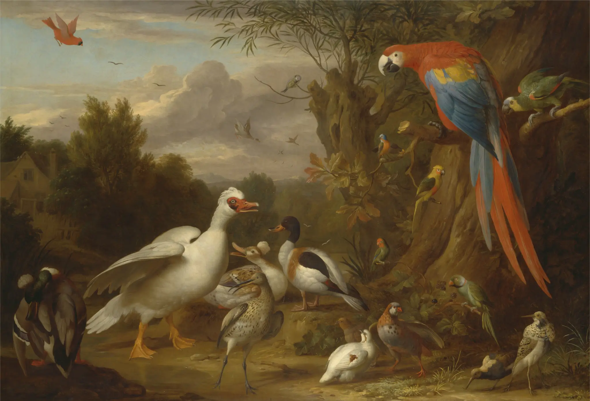 A Macaw, Ducks, Parrots, and Other Birds in a Landscape by Jakob Bogda´ny, 1658–1724