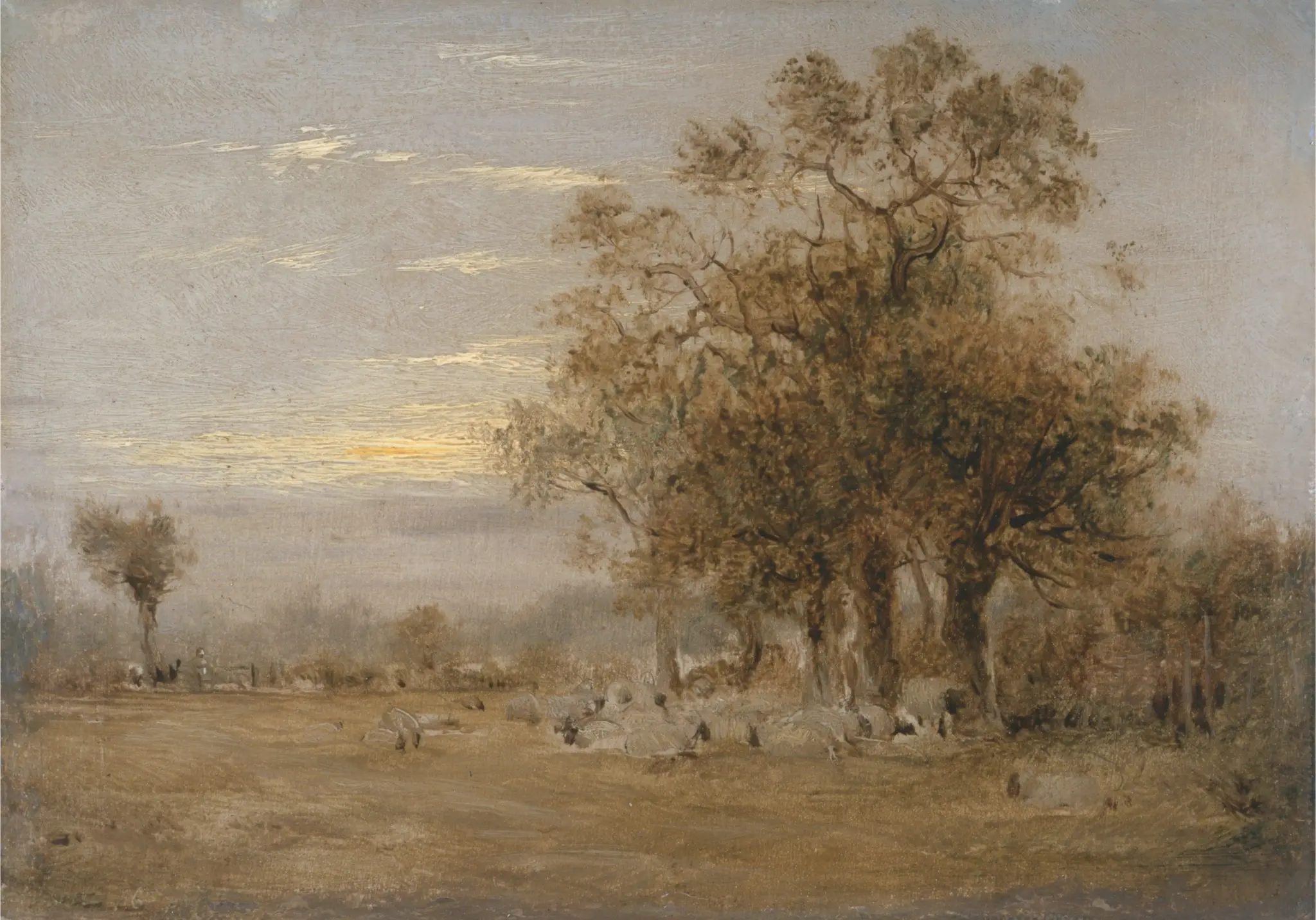 Sheep Grazing by John Linnell, 1792–1882