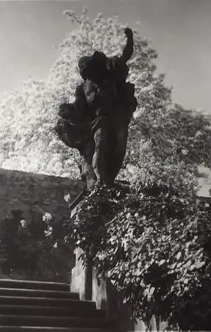 Statue with Flowering Trees by Artist: Josef Sudek