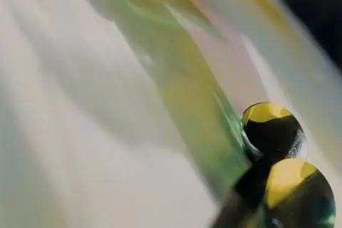 Daffodils by Artist: Connie Bigelow (American)