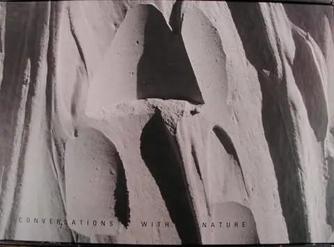 Conversations with Nature by Artist: Bryan Hunt