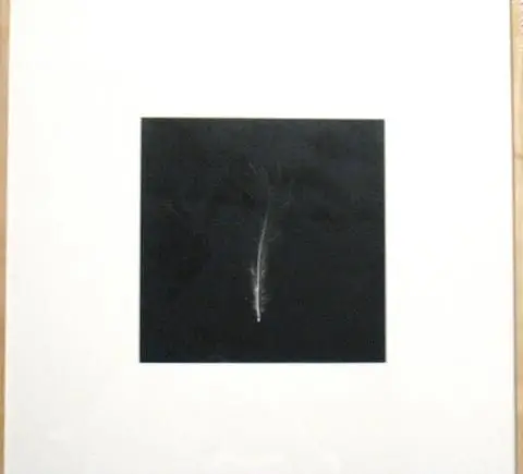 Feather that went to the South Pole (In the sleeping bag of Sir Ranulph Fiennes on his trip across Antarctica), from the series Up, Down, Charm, Strange by Artist: Cornelia Parker