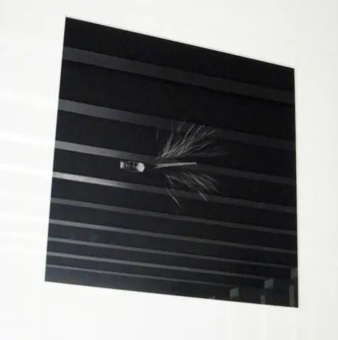 Feather from Benjamin Franklin's Attic (With thanks to the Benjamin Franklin Museum), from the series Up, Down, Charm, Strange by Artist: Cornelia Parker