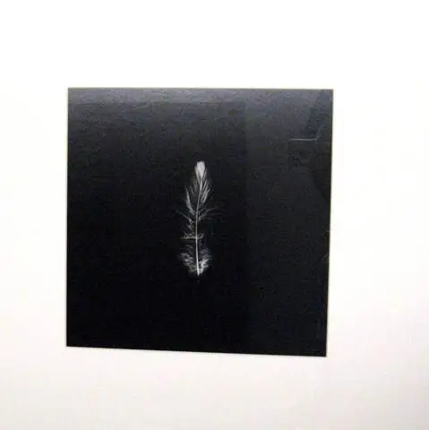 Raven Feather from the Tower of London, from the series Up, Down, Charm, Strange by Artist: Cornelia Parker