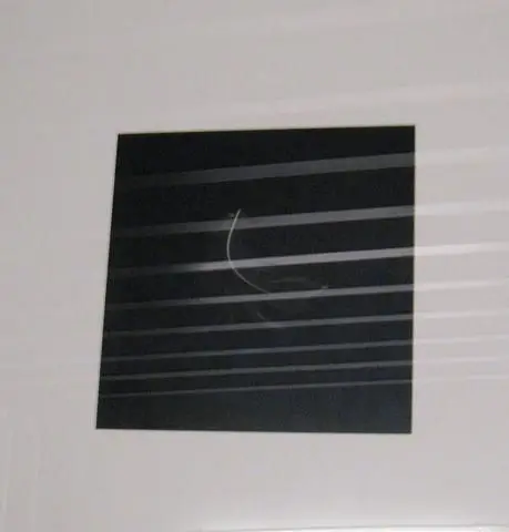 Feather from a Wandering Albatross (with Thanks to the British Antarctic Survey, Cambridge), from the series Up, Down, Charm, Strange (Truth and Beauty) by Artist: Cornelia Parker