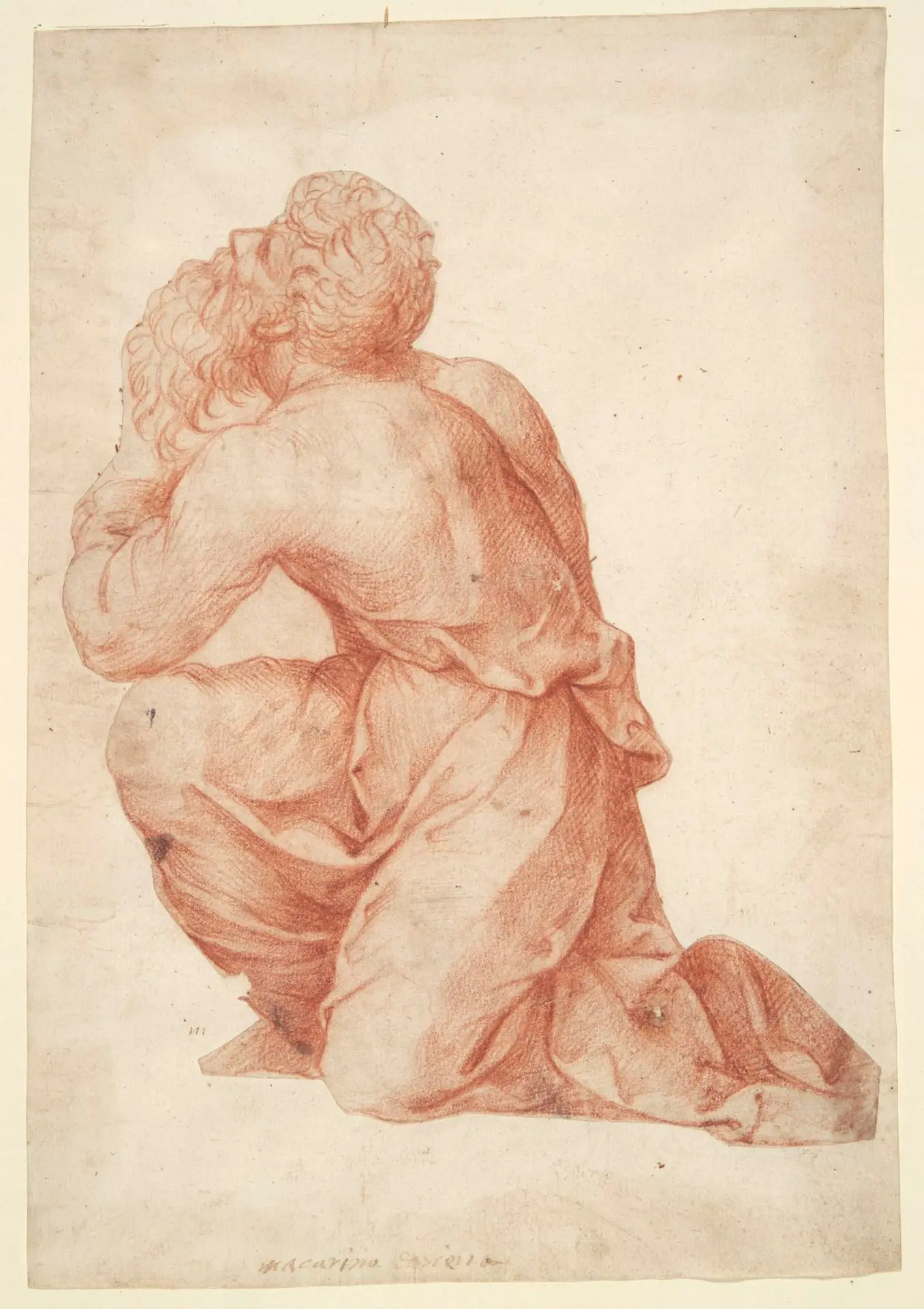 Kneeling Man by Artist: Domenico Beccafumi