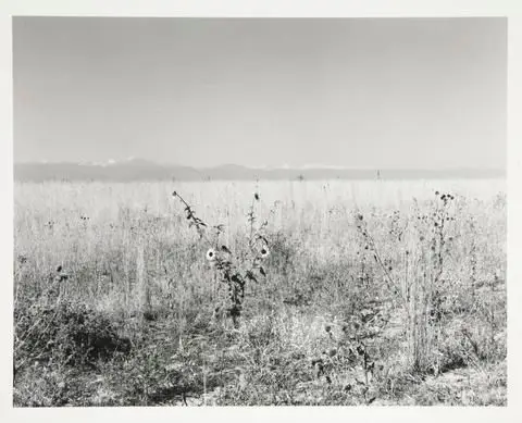 Land to be developed, adjoining Interstate 25, Adams County, Colorado by Artist: Robert Adams