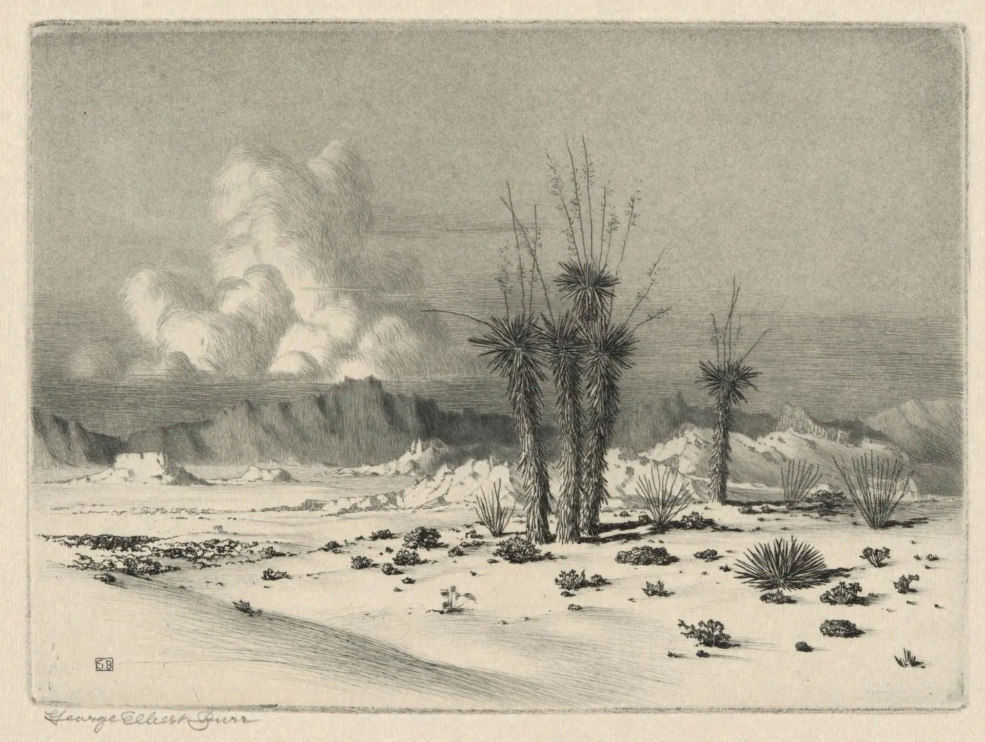 Evening, Arizona by Artist: George Elbert Burr