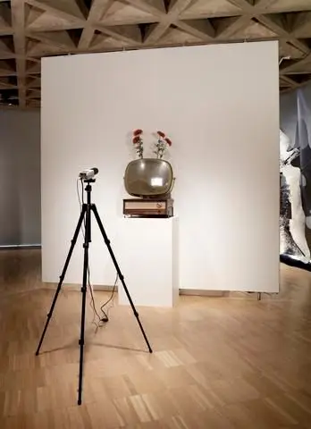 Real Plant/Live Plant by Artist: Nam June Paik