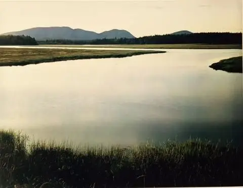 Tidal marsh, Mount Desert Island, Maine August 4, 1965 by Artist: Eliot Porter