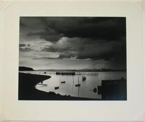 Penobscot Bay by Artist: Eliot Porter