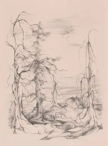 No Title by Artist: Eva Hesse