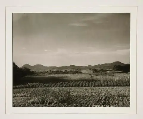 View of the Siebengebirge from Rheinbreitbach, from the portfolio Rhineland Landscapes by August Sander by Artist: August Sander