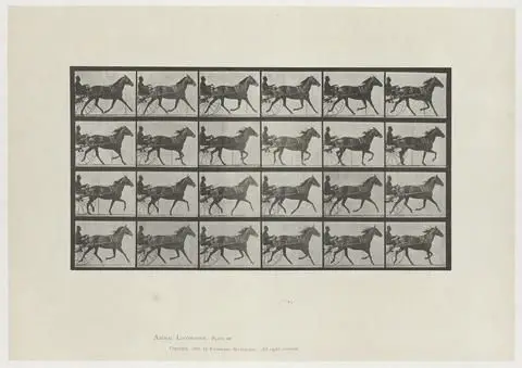 Animal Locomotion, Plate 607 by Artist: Eadweard Muybridge
