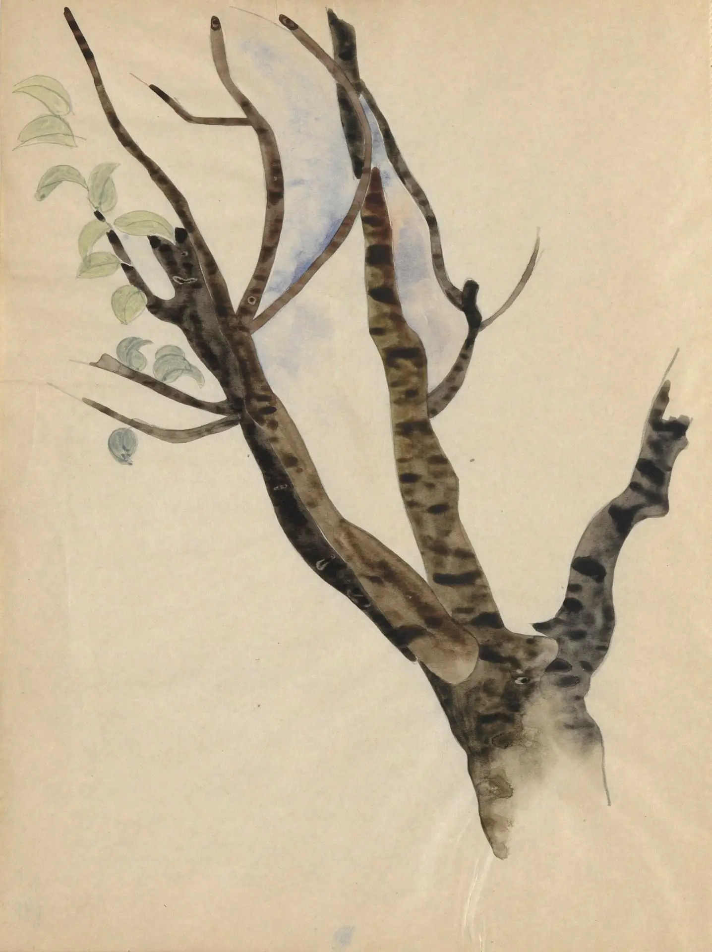 Sketchbook: 36 pages total, containing 28 sketches (including studies for Demuth's poster portraits) by Artist: Charles Demuth