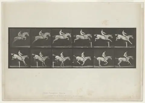 Animal Locomotion, Plate 643 by Artist: Eadweard Muybridge
