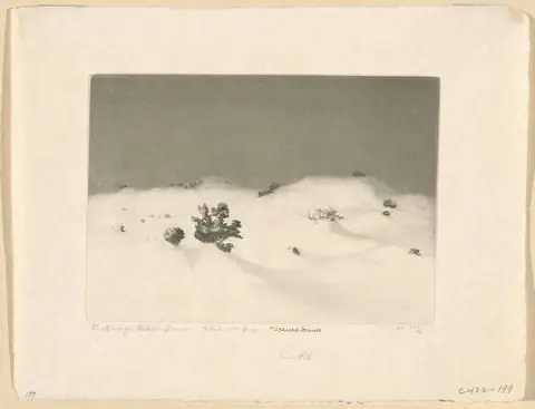 Desert Dunes by Artist: George Elbert Burr