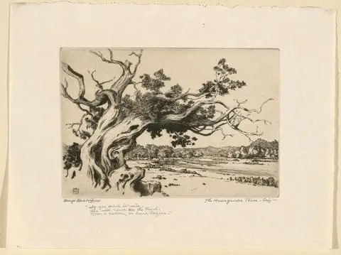 The Hassayampa River, Arizona by Artist: George Elbert Burr