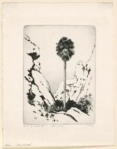 Palm Canyon by Artist: George Elbert Burr