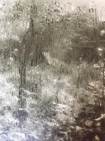 Window of My Studio by Artist: Josef Sudek