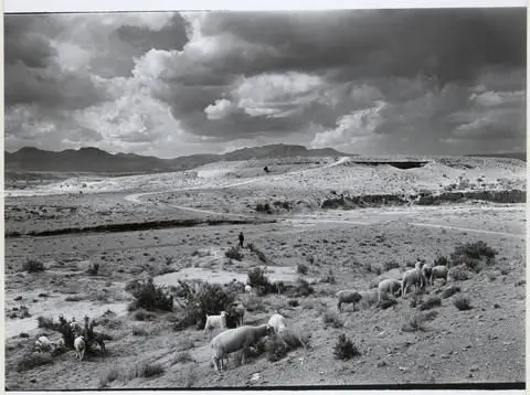 The Little Shepard by Artist: Laura Gilpin